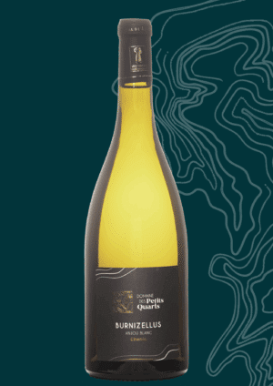 Anjou Blanc Burnizellus - 2023